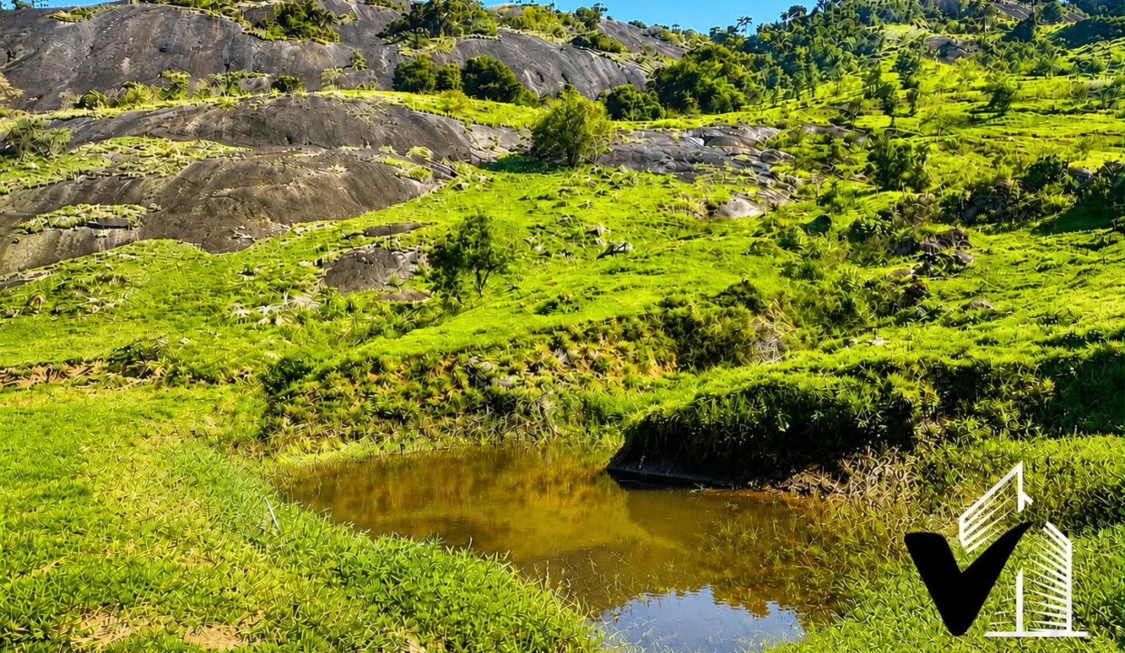 WhatsApp Image 2026-06-26 at 09.10.24